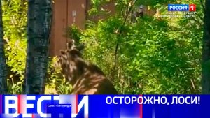Вести Санкт-Петербург. Выпуск 21.10 от 21.05.2025