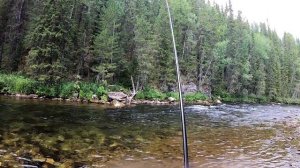 Ловля хариуса в Уральских горах. Тирольская палочка. По камням и мелям за хариусом. #1