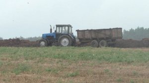 Вывоз навоза на поле: МТЗ-1221 Беларус в работе