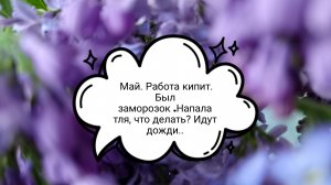 21-05-2025 Май. работа кипит. Был заморозок. Напала тля,что делать? Идут дожди...