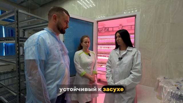 «От клетки до семян»: технология производства семенно