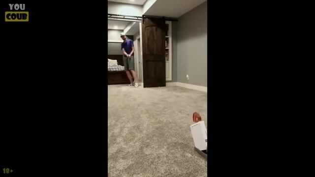 ✅BEST COUB #33 ПРИКОЛЫ 2021 | CUBE COMPILATION | КУБЫ | ТЕСТ НА ПСИХИКУ смотреть онлайн