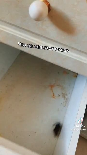 АХХАХХПХПХАХАХАХАХПХАЗ