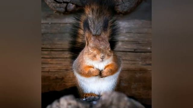 Хороших выходных!😇Видео-открытка с добрым утром 😉