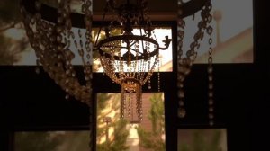 IMG_3964 (1)