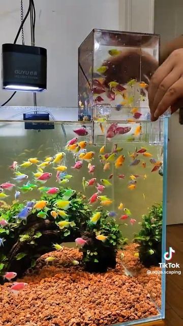 посмотрите как прикольно придумали красота не риальная смотреть онлайн