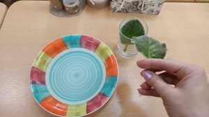 Восстанавливаем тургор листу фиалки! Три способа!