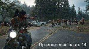 DG часть 14