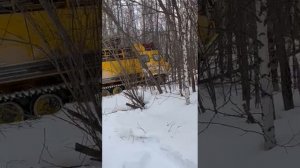 мтлб в лесу ..##