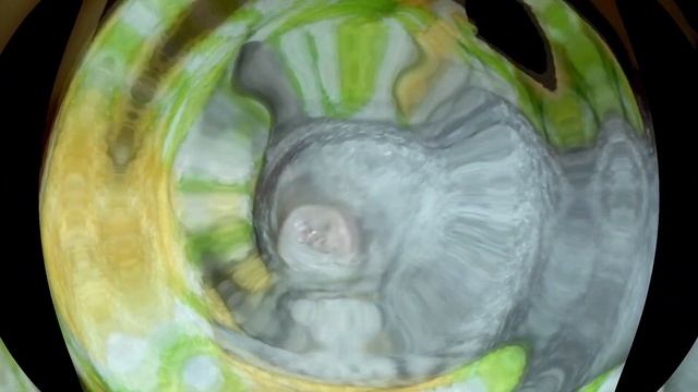Приколы с котами: котята, кошки, коты, смешное видео и взаимка