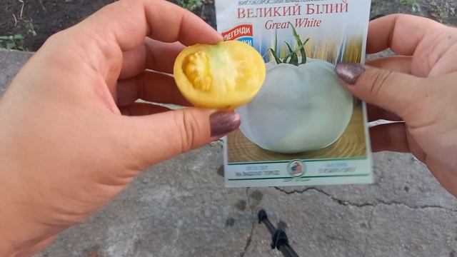 Томат Великий Білий. Огляд сорту. смотреть онлайн