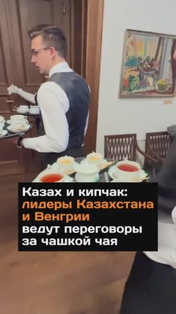 Лидеры Казахстана и Венгрии ведут переговоры за чашкой чая
