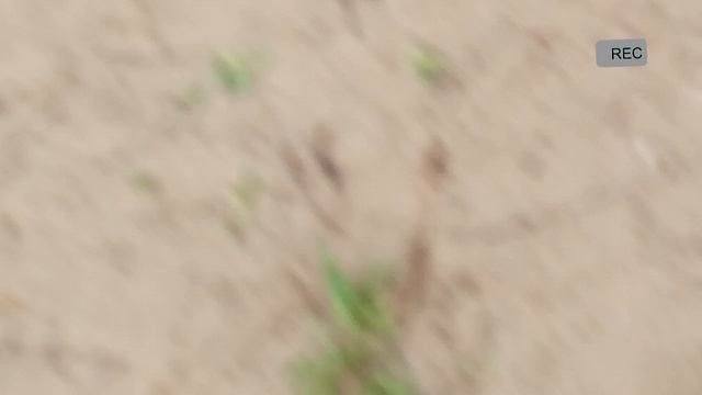 Берегись опасные пидофилофилы!!! смотреть онлайн