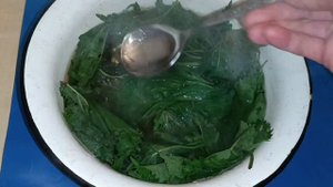 Соус Песто из Крапивы и других Дикоросов! Дорогой Дели