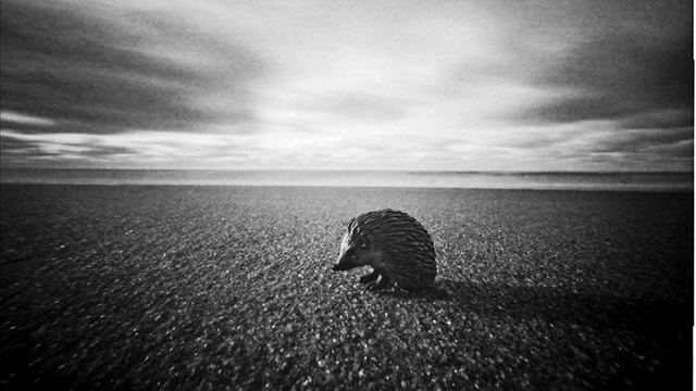 NTL Gans - Йожик смотреть онлайн