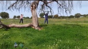 приколы и катастрофы у дураков  ( жесть  !!! )