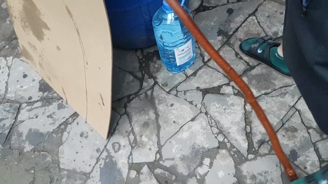 БЕЛЫЙ ВИНОГРАД РКАЦИТЕЛИ.!!! საღვინე ყურძენი რ?