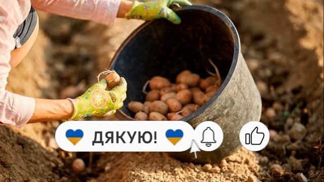 Місячний посівний календар на травень 2025 для України! смотреть онлайн