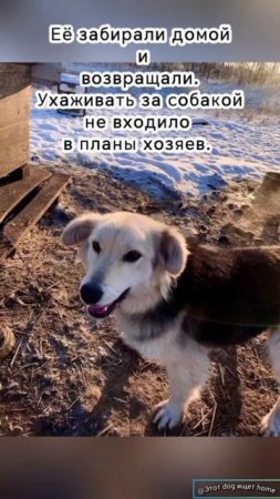 Не предавайте!