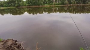 Наша жизнь Поработали и решили отдохнуть на природе Наловили рыбы