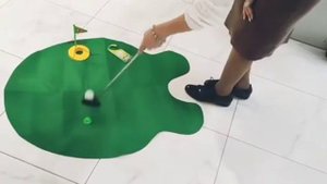 Мини - гольф туалетный