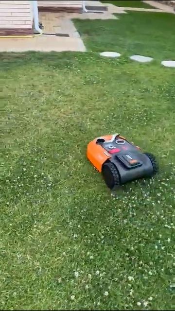 Робот газонокосилка WORX Landroid WR165E . Отзыв о работе . смотреть онлайн