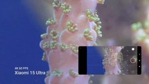 Xiaomi 15 Ultra обзор 1 месяц спустя: флагман с лучшей камерой