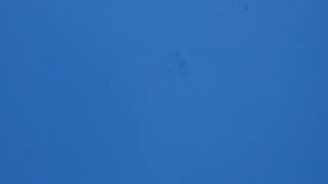 CIMG0966.AVI Александр Столяров. Голуби Ивановские ходовые.