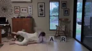 заставка пиксар (мемная версия)