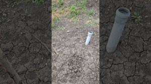 Цветики семицветики