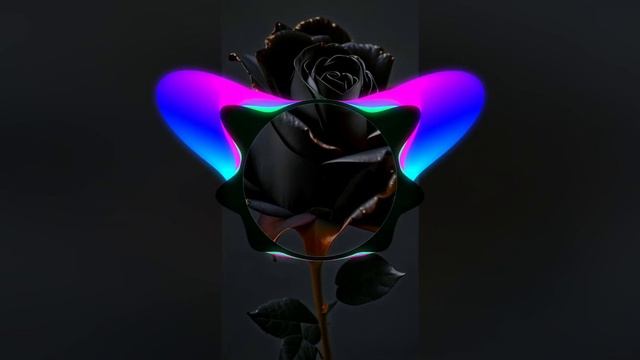 Ислам Итляшев - Она любила розы смотреть онлайн