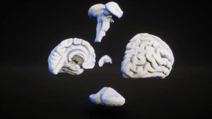 Почему дети часто болеют...