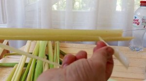 Собираем и обрабатываем рогоз