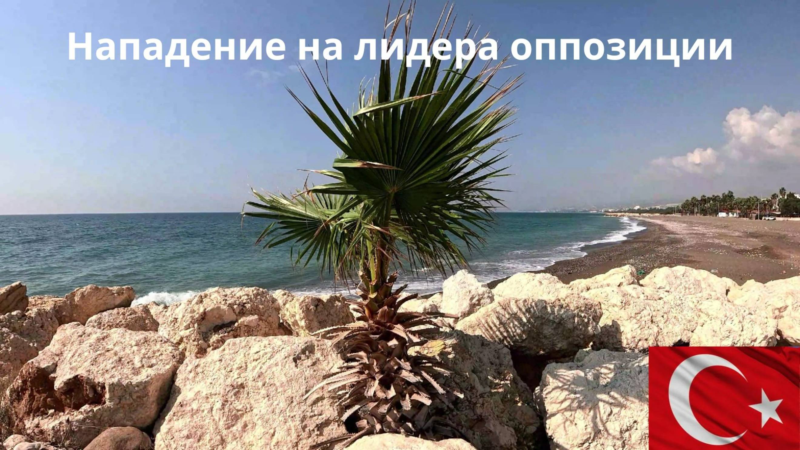 Мужчина ударил по голове лидера оппозиции.