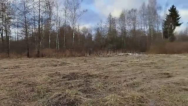 Кул буйида Иккита Уй 1) Ери 50 сотих 6.000$ 2) 16 сотих 4.000$ +20 г смотреть онлайн