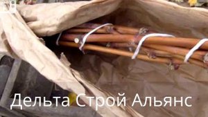 Как укрыть виноград на зиму?