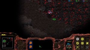 О чём был Starcraft