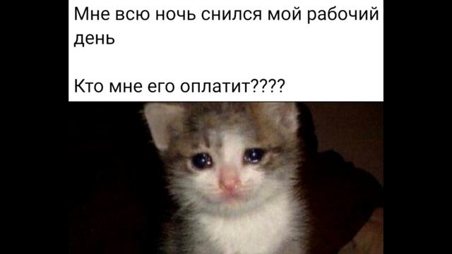 20 лучших мемов дня, подборка черного юмора #60 смотреть онлайн