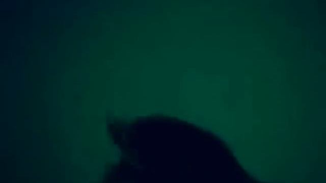 ГОП FM! ))) смотреть онлайн