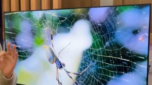 Телевизор XIAOMI TV A 43 FHD 2025 СТОИТ ЛИ БРАТЬ