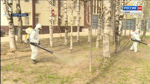 В Сыктывкаре и пригородах продолжается обработка от клещей