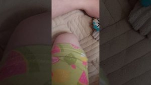 Приключения.   догдэя.     и.     друзей 🐶🐱🐘🐻🐓🐰🐷🦄