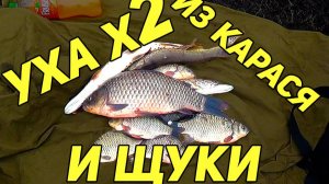 УХА х2 ИЗ КАРАСЯ И ЩУКИ. И ты уже научился