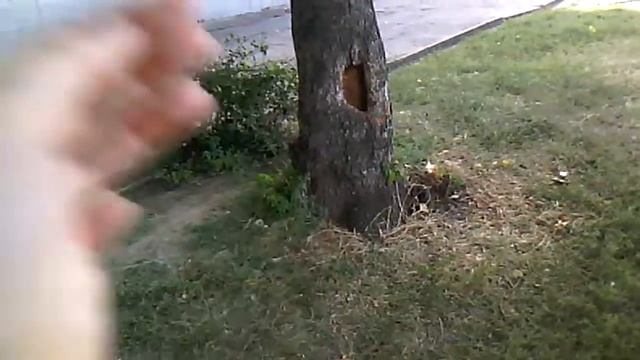 Кто такой ивангай ответы школьников смотреть онлайн