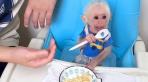 Обезьянка крошка БУКАШКА кушает за столом МАКАРОШКИ ложкой Нравится МИЛОТА