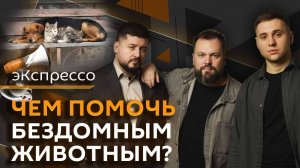 эКспрессо. Мирный план США, выборы в Румынии, возрождение пионерии