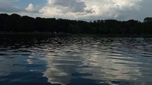 сокольники