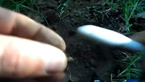 Карманные часы Tavannes Watch & Co