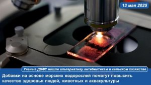 Ученые ДВФУ нашли альтернативу антибиотикам в сельском хозяйстве