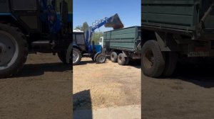 ТД АгроТрейд , погрузчик Маршал 1000 на погрузке зерна +7